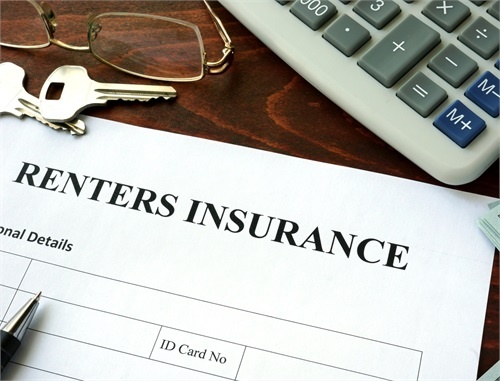 renters insurance paper